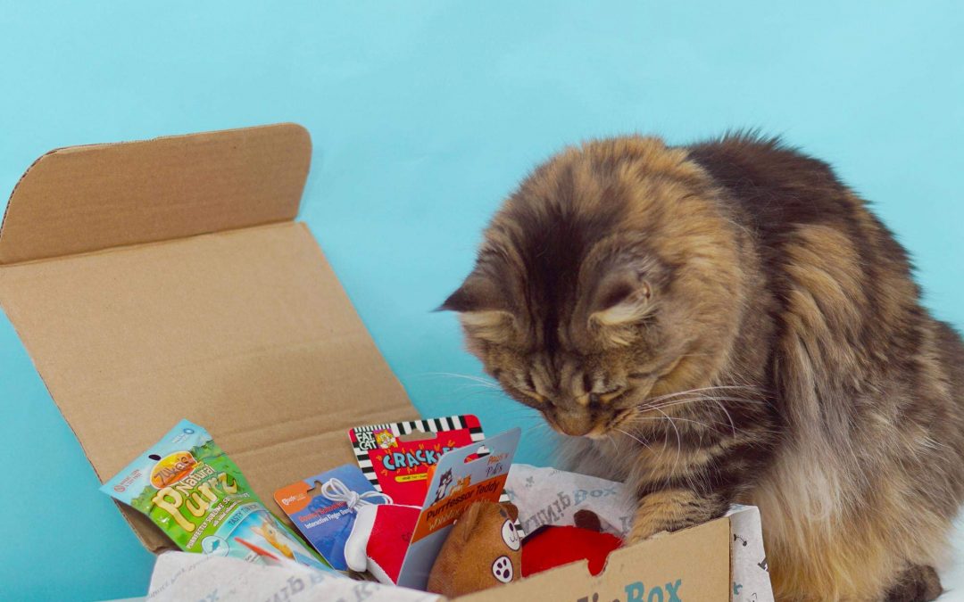 HALF OFF Happy Cat KitNipBox – Cat Toys, Treats and Goodies
